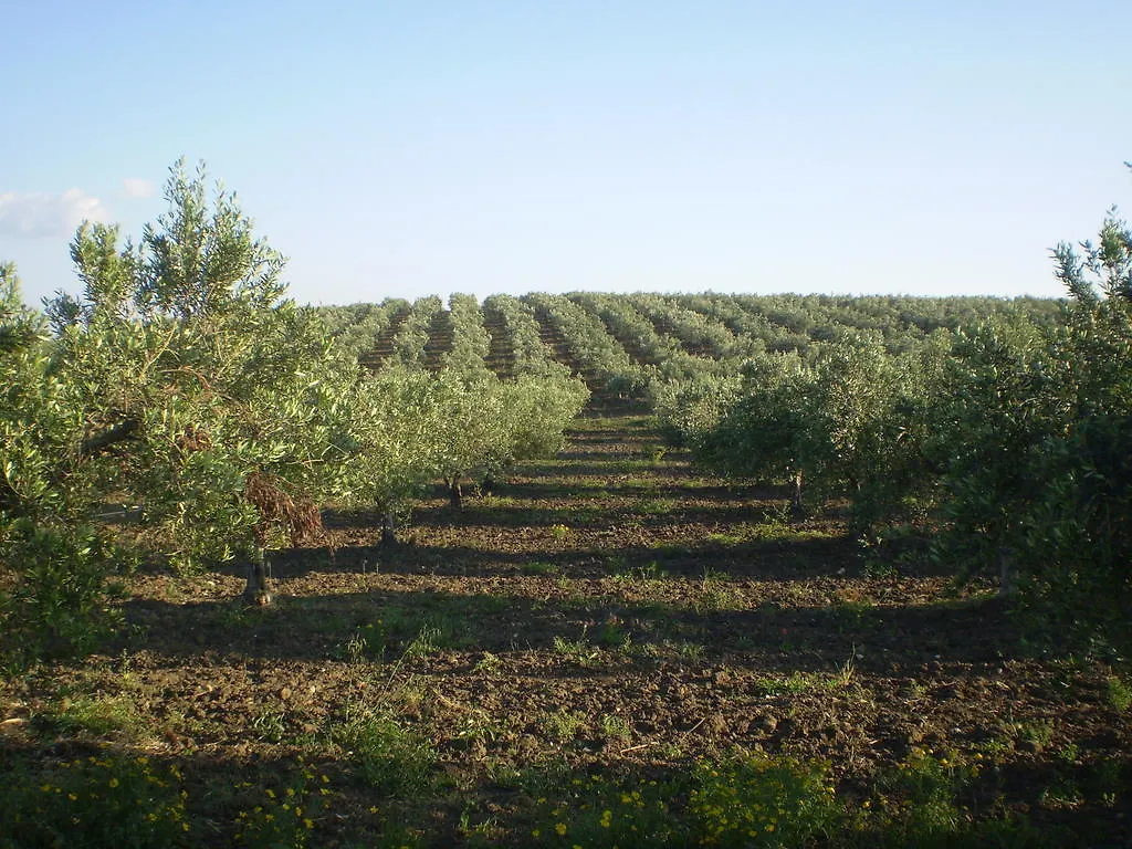 Agriturismo Fratelli Sanacore Rilievo 0*,